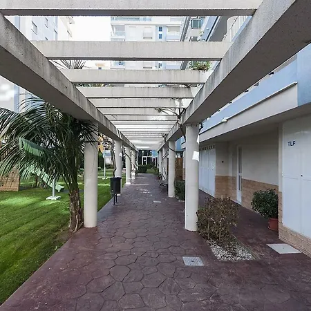 Apartment Apartamento Palmeras Playa de Gandia
